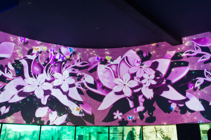 横浜・八景島シーパラダイス「楽園のアクアリウム」最新技術で楽しむ、花々舞う幻想的な水族館｜写真13