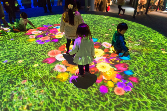 横浜・八景島シーパラダイス「楽園のアクアリウム」最新技術で楽しむ、花々舞う幻想的な水族館 | 写真