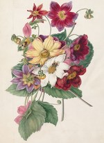 「イングリッシュ・ガーデン：英国に集う花々」展が東京・汐留で開催 - 植物画家たちの遍歴を紐解く｜写真3