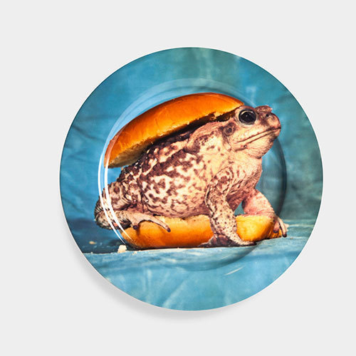 MoMAデザインストア、ユニークな食器や傘を発売 - 雑誌『トイレットペーパー』×セレッティ｜写真9