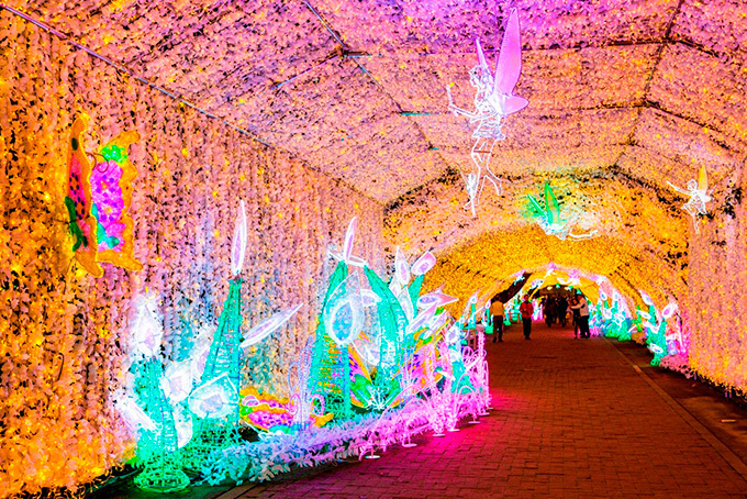 御殿場のリゾート「時之栖」で約520万球の光が煌めくイルミネーション - 450mの光のトンネル | 写真