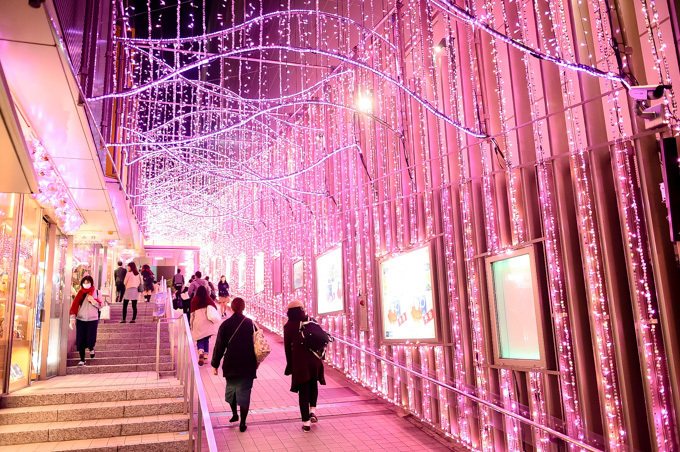 「新宿テラスシティ イルミネーション」新宿駅周辺を‟桜色”で染め上げる | 写真
