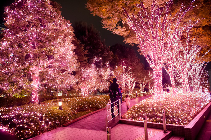 「新宿テラスシティ イルミネーション」新宿駅周辺を‟桜色”で染め上げる｜写真3