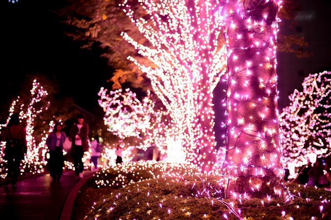 「新宿テラスシティ イルミネーション」新宿駅周辺を‟桜色”で染め上げる｜写真5