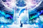 アクアパーク品川「スノウアクアリウム」雪と氷の美しさに包まれる海の世界
