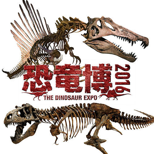「恐竜博2016」大阪文化館・天保山で開催 - 史上最大の肉食恐竜スピノサウルス、驚きの生態を解明｜写真11