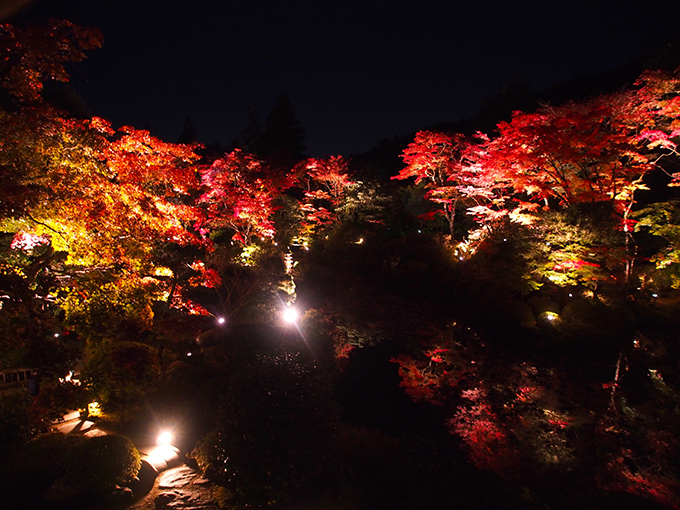 世界遺産・日光山輪王寺「逍遥園」の紅葉ライトアップ - 一足先にベストシーズン到来 | 写真