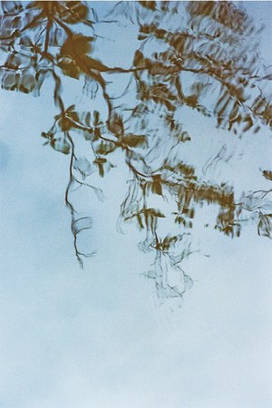 マイ(MY___) 2015-16年秋冬ウィメンズコレクション  - 写真13