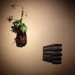 まとふ(matohu) これからと暮らす｜写真3