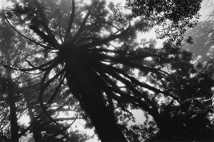 水越武の写真展「真昼の星」がフジフイルム スクエアで開催 - 山と森林をテーマとするモノクロ写真 | 写真