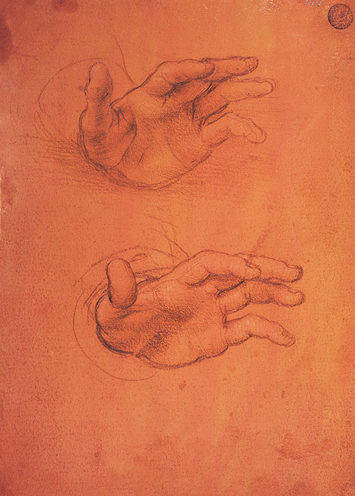 特別展「レオナルド・ダ・ヴィンチ 天才の挑戦」東京都江戸東京博物館で開催 - 日本初公開作品も | 写真