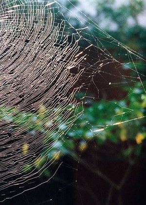 フィルメランジェ(FilMelange) 2016年春夏ウィメンズ&メンズコレクション  - 写真10