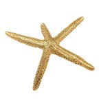 プリュイの新作ヘアジュエリー - 羽や貝殻、サンゴをモチーフにしたバレッタやリング｜写真6