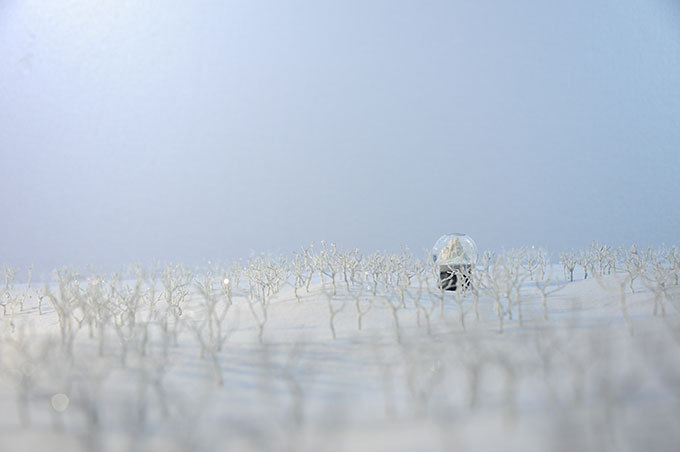 映像作家・村田朋泰の個展「AMETSUCHI」が東京・両国で開催、“あの花”主題歌に使用された作品も｜写真3