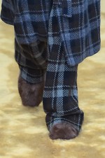 フェンディ 2016年秋冬メンズコレクション - アットホームな空間で心地よいほど贅沢に｜写真2