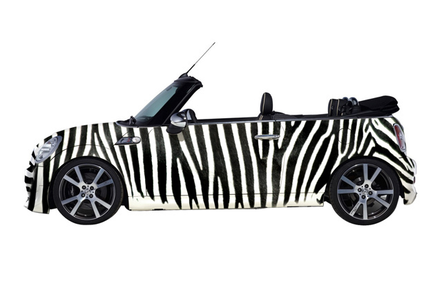 大人も子供も楽しめるMINI SAFARI が銀座に出現！ | 写真