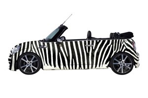 大人も子供も楽しめるMINI SAFARI が銀座に出現！｜写真3