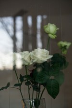 08サーカス 2016年秋冬ウィメンズコレクション - ディテールで魅せるシックエレガンス、モダンな空気感｜写真17