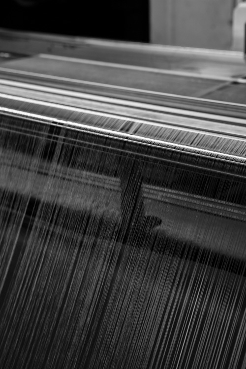 “羽の抜けないダウン”を実現した第一織物 - モンクレールやsacaiを魅了する日本素材 | 写真