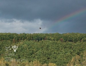 サウス2 ウエスト8(SOUTH2 WEST8) 2016年春夏メンズコレクション  - 写真28