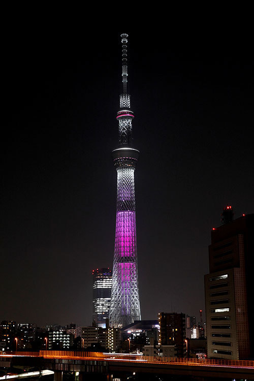 東京スカイツリータウンで桜のライティング“咲いて舞う” - 春休みイベントで野外ヨガも｜写真2