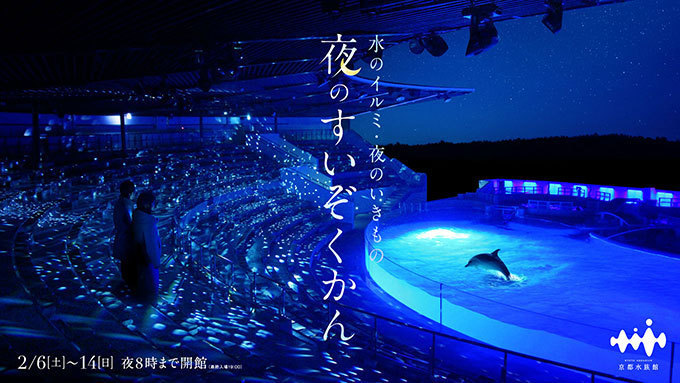 京都水族館「夜のすいぞくかん」ペンギンやオットセイの寝顔を間近で - イルカスタジアムもライトアップ｜写真1