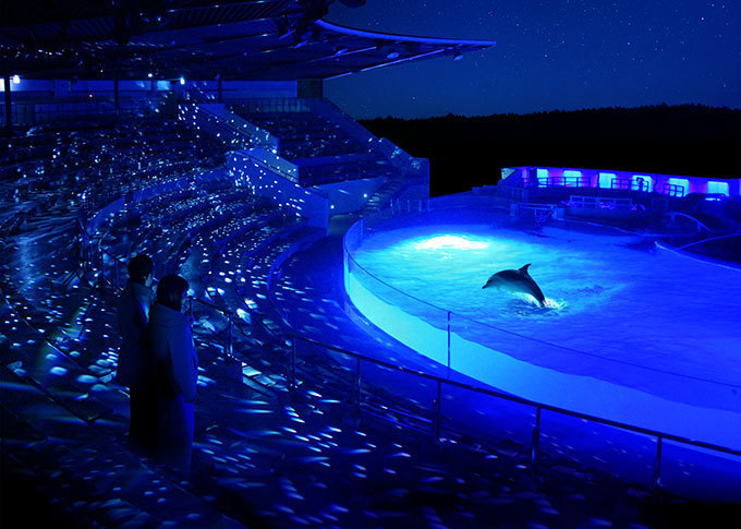 京都水族館「夜のすいぞくかん」ペンギンやオットセイの寝顔を間近で - イルカスタジアムもライトアップ | 写真