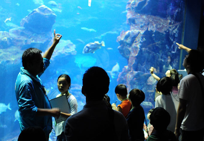 京都水族館「夜のすいぞくかん」ペンギンやオットセイの寝顔を間近で - イルカスタジアムもライトアップ｜写真3