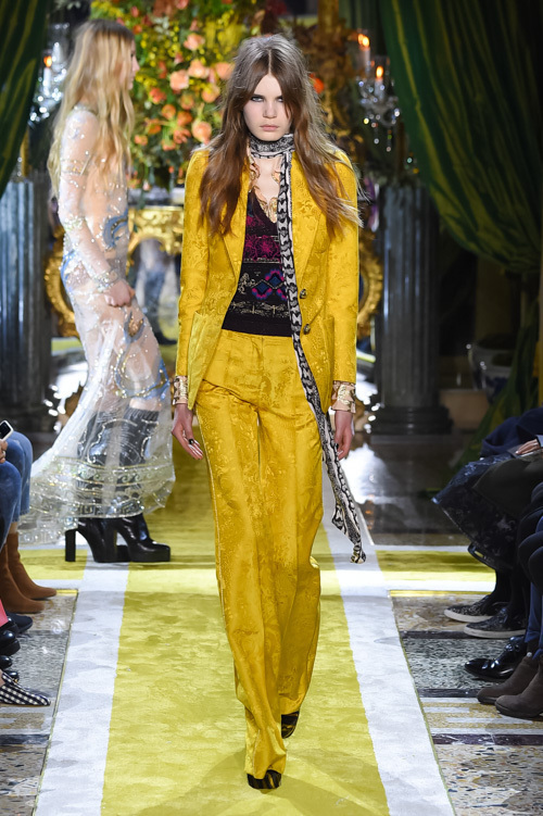 ロベルト カヴァリ 2016-17年秋冬 <span>コレクション</span> - 写真55
