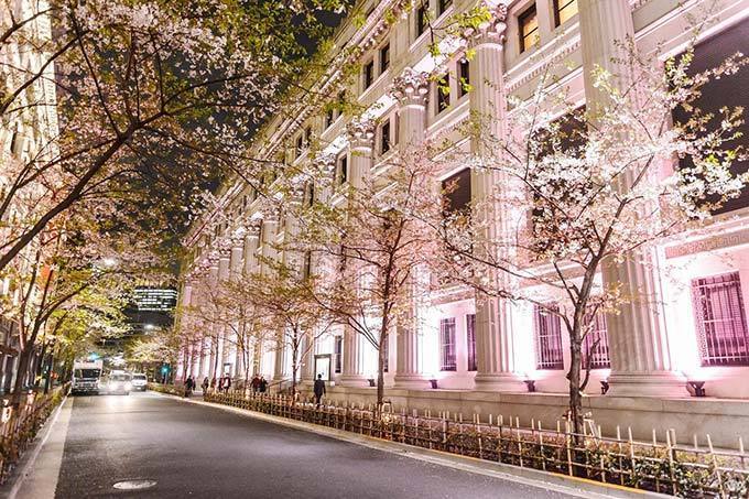 「日本橋 桜フェスティバル」一帯を桜色の光が包む”桜ライトアップ”&限定メニューが揃う屋台も｜写真3