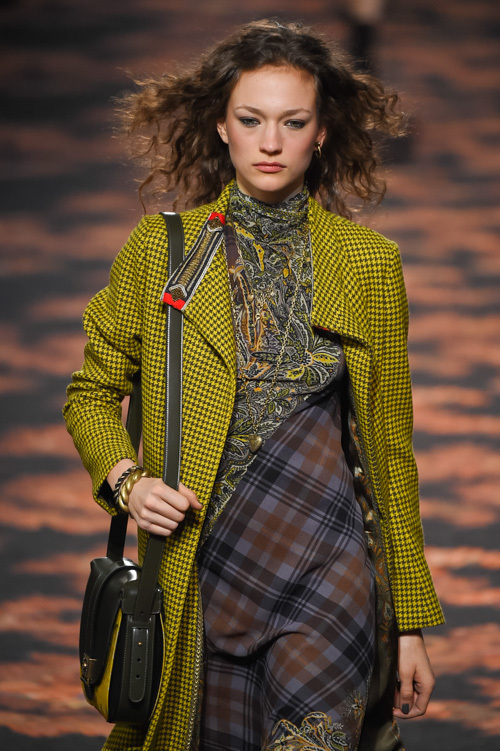 エトロ(ETRO) 2016-17年秋冬 ウィメンズコレクション  - 写真44