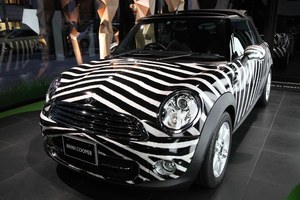 大人も子供の楽しんだエキサイティングなMINIのイベント「MINI SAFARI」｜写真1