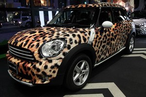 大人も子供の楽しんだエキサイティングなMINIのイベント「MINI SAFARI」｜写真2