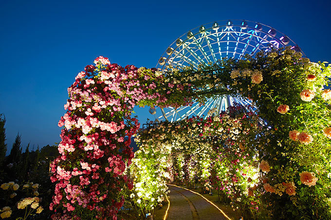 ハウステンボスで「2,000品種120万本のバラ祭」開催 - アジア最大級、バラの街が出現｜写真5