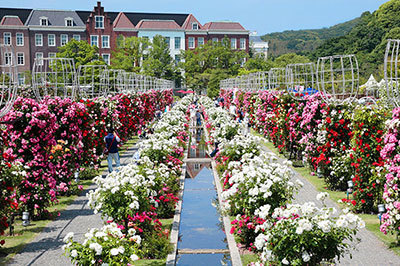 「2,000品種120万本のバラ祭」