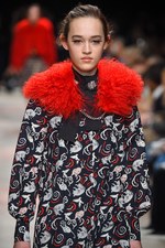 ポール & ジョー 2016-17年秋冬ウィメンズコレクション - ネコが駆け巡る、可憐な少女ルック｜写真5