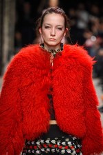 ポール & ジョー 2016-17年秋冬ウィメンズコレクション - ネコが駆け巡る、可憐な少女ルック｜写真7