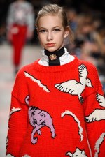 ポール & ジョー 2016-17年秋冬ウィメンズコレクション - ネコが駆け巡る、可憐な少女ルック｜写真15