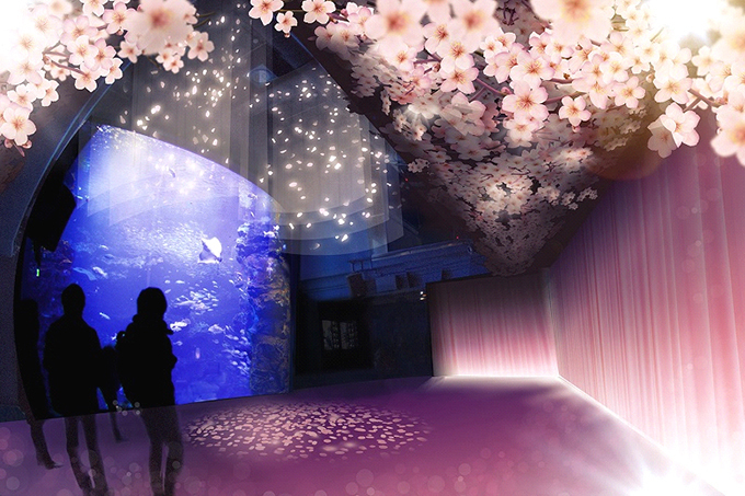 京都水族館、幻想的な春景色×イワシの体感型アート - 桜をイメージした香りや音楽も導入 | 写真