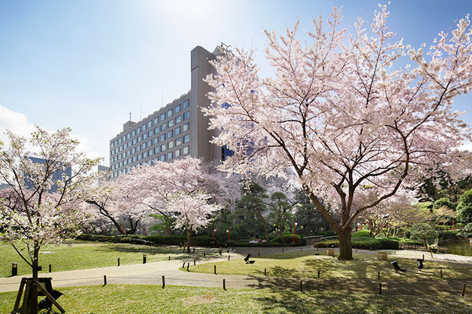 「高輪 桜まつり 2016」東京・品川で開催 - 夜桜ライトアップ、こたつ付き花見コースなど｜写真6