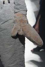 プラスチックトーキョー 2016-17年秋冬コレクション -  秩序と無秩序、渋谷のスクランブル交差点｜写真29