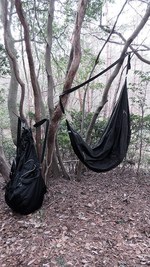 アリスアウアア 2016年秋冬コレクション - 徹底的に社会を遮断、ミノムシの“踊り“にも似た鼓動｜写真1