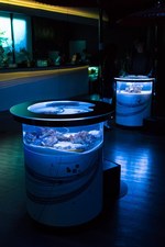 「花美アクアリウム」がアクアパーク品川で開催 - 花と海を融合、和モダンな空間で楽しむ幻想体験｜写真13