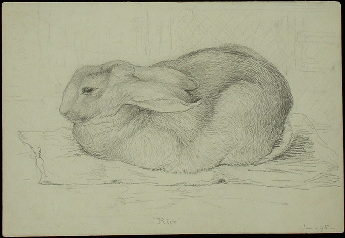 「ピーターラビット展」がグランフロント大阪で - 自筆原画やスケッチなど日本初を含む200件以上｜写真5