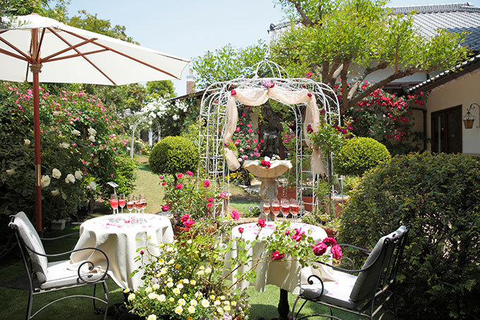 あざみ野うかい亭、80種のバラ香る庭園で春の鉄板メニュー - ローズティーやデザートも | 写真