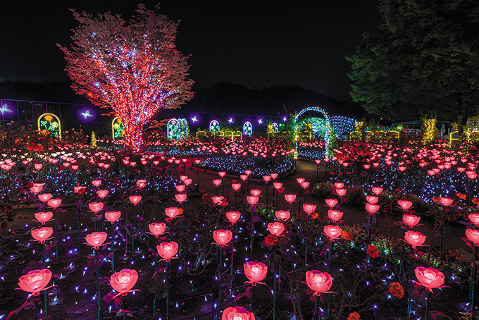 栃木・あしかがフラワーパークのイルミネーション「光の花の庭」 | 写真