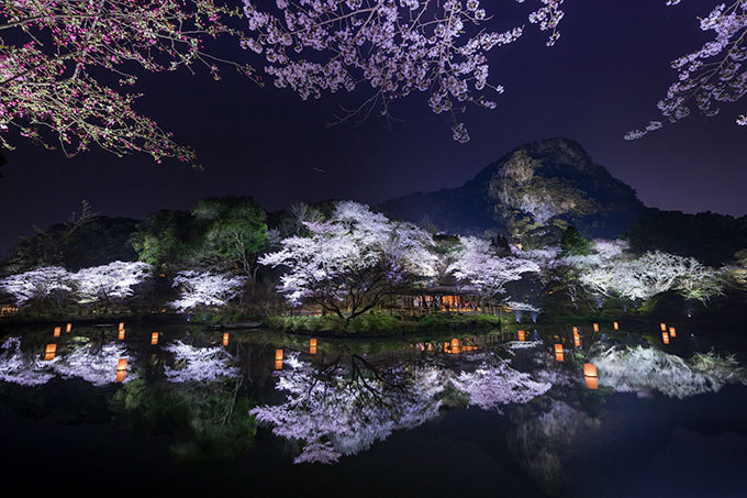 佐賀・御船山楽園「花まつり」春は2千本の桜・初夏はツツジと大藤が開花、九州最大規模のライトアップも｜写真3