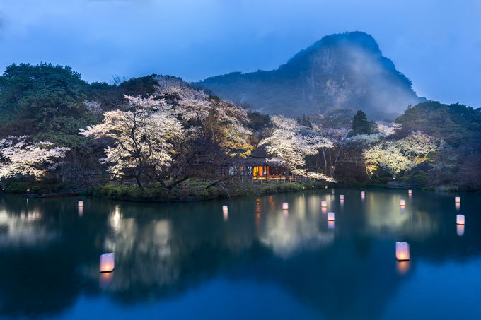 佐賀・御船山楽園「花まつり」春は2千本の桜・初夏はツツジと大藤が開花、九州最大規模のライトアップも｜写真5