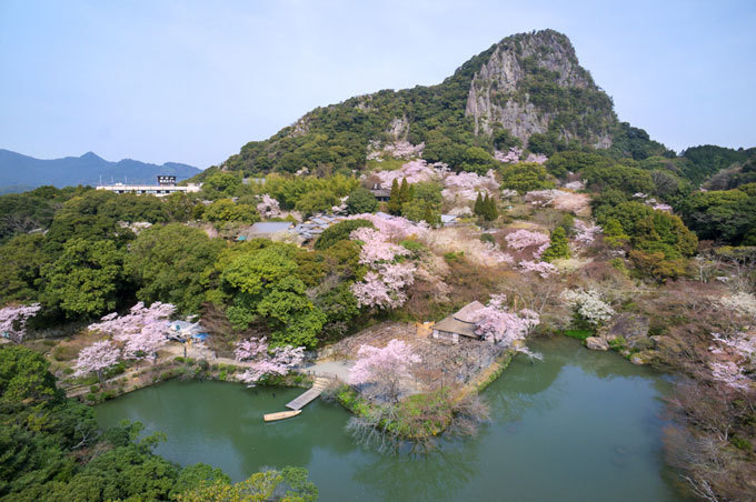 佐賀・御船山楽園「花まつり」春は2千本の桜・初夏はツツジと大藤が開花、九州最大規模のライトアップも｜写真2