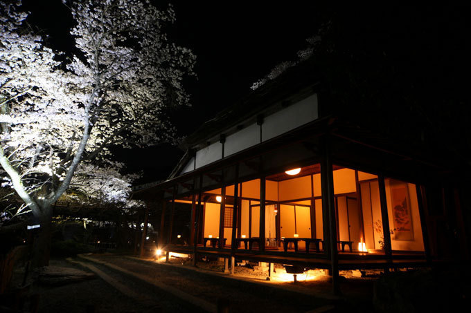 佐賀・御船山楽園「花まつり」春は2千本の桜・初夏はツツジと大藤が開花、九州最大規模のライトアップも｜写真9